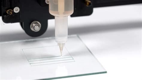 Alginate: Exploring its Role in 3D Bioprinting and Biocompatible Packaging!