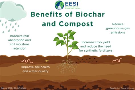  Biochar: A Sustainable Solution for Carbon Sequestration and Soil Amendment?