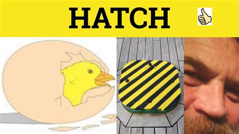 hatch 뜻: 부화의 의미와 그 이상의 상징성