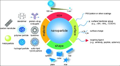  Magnetite Nanoparticles: Revolutionizing Biomedical Imaging and Targeted Drug Delivery!