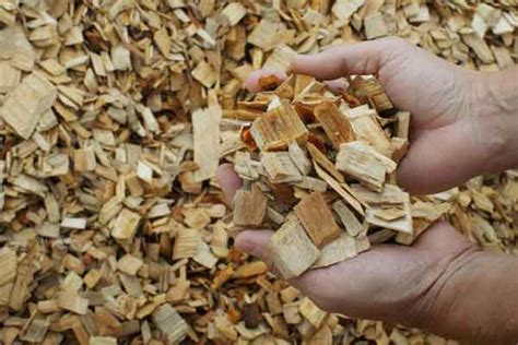 Wood Pulp: The Unsung Hero of Paper and Biofuels?