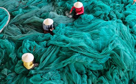 Xeno Cellulose: Unraveling a Futuristic Textile Innovation for Sustainable Fashion