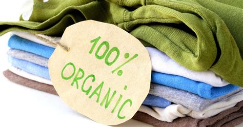  Yucca Fiber: Sustainable Textile Wonder for Eco-Conscious Clothing and Biodegradable Products?